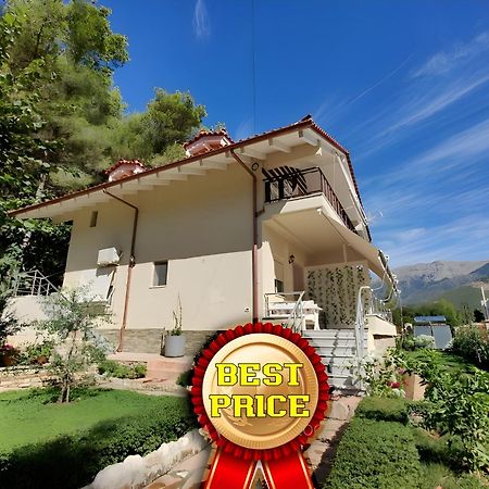 Villa Vasil Mertiri 히마레 외부 사진