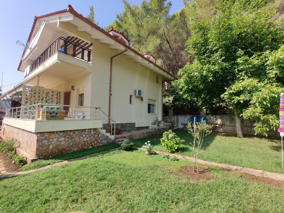 Villa Vasil Mertiri 히마레 외부 사진